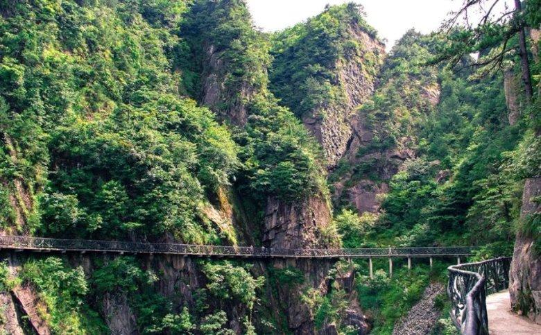虫虫助手下载