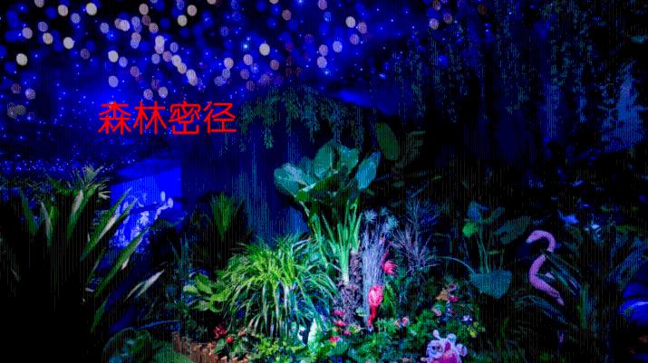燃烧吧大脑装瓶子游戏